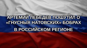 Артемий Лебедев пошутил о «гнусных натовских» бобрах в российском регионе