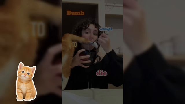 Рыжие непоседы.