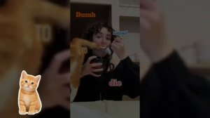 Рыжие непоседы.