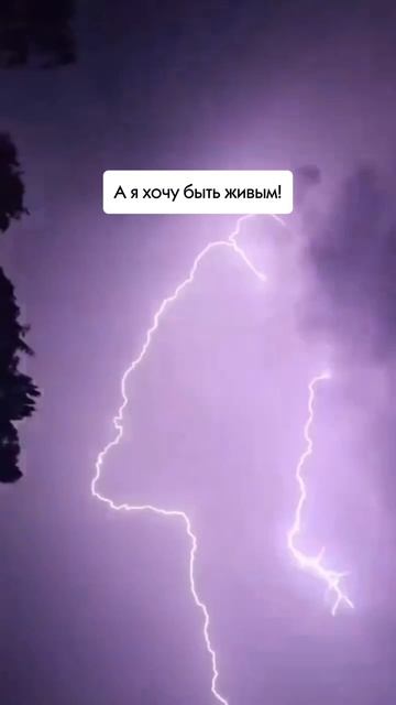 Веди себя прилично