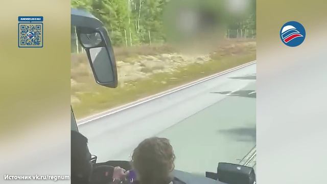 Кадры из автобуса: водитель потерял сознание за рулем, внутри 50 пассажиров
