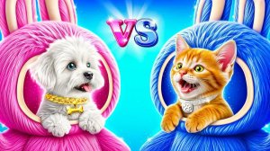 Кошка vs Собака! Как заботиться о питомцах!