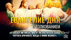 «И сказал им Иисус: могут ли поститься сыны чертога брачного, когда с ними жених?» / Евангелие дня