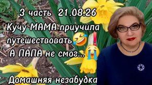 3 часть. Кучу МАМА приучила путешествовать, а ПАПА не смог...