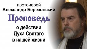 Проповедь о действии Духа Святаго в нашей жизни (2026.08.21). Протоиерей Александр Березовский