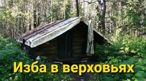 Изба в верховьях