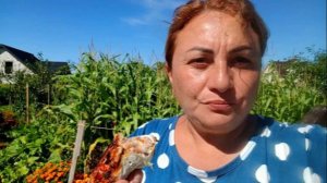Жизнь в Доме / Жарим Лаваш На Мангале / Занимаюсь Заготовками /