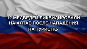 12 медведей ликвидировали на Алтае после нападения на туристку