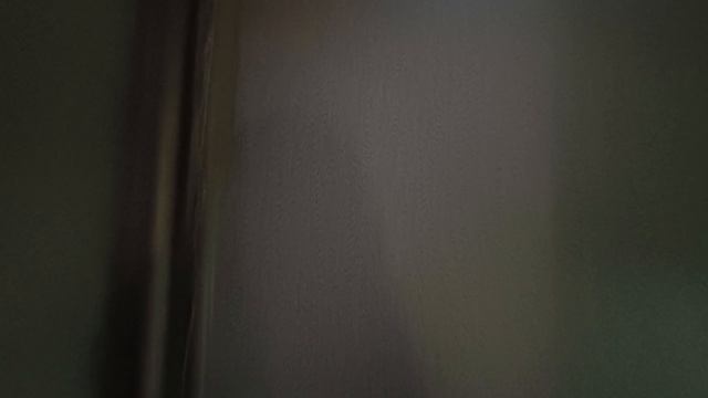 1003799109.mp4
