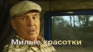 Милые красотки. Стихи - И.Рещиков, генерация песни в ИИ, монтаж - Е.Доставалов