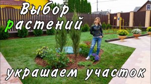 Ландшафтный дизайн участка: газон и подбор растений
