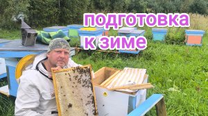 Сокращение гнёзд у пчёл, подготовка к зимовки. Пчеловодство Владимирской области.