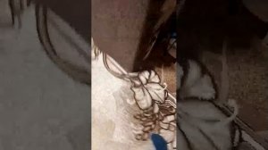 заходи на стрим тут интересно