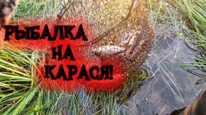 Рыбалка на Карася.