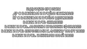 Будущие проекты
