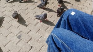 Коротко о том как мы гуляем с подругой