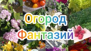 17 - 19 августа 2026 года. Томаты, огурцы, огород)))))))