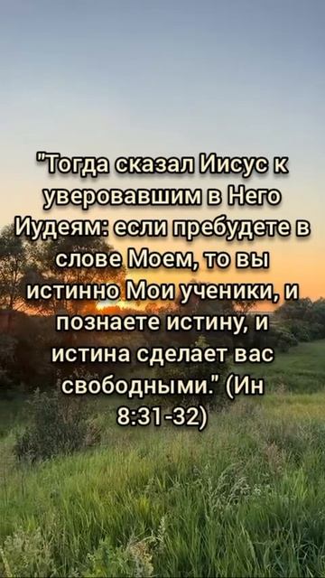 Иоанна 8