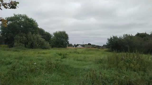 50:04:0140603:1790