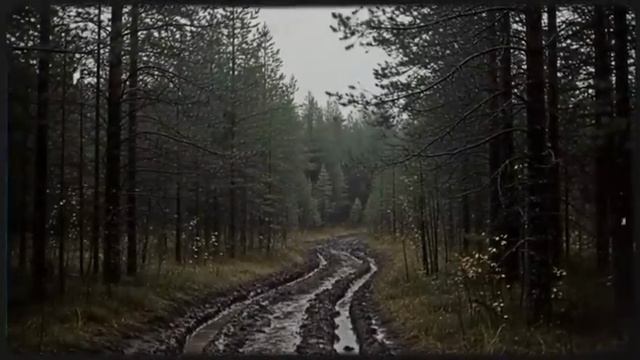 Егерь зашел за вином, а нашел ГОРЯЧУЮ НЕЗНАКОМКУ. Шок-финал, которого НИКТО не ожидал.