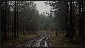 Егерь зашел за вином, а нашел ГОРЯЧУЮ НЕЗНАКОМКУ. Шок-финал, которого НИКТО не ожидал.