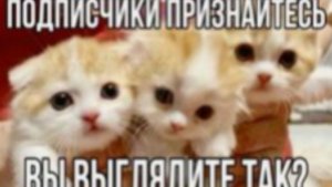 ВОПРОС-ОТВЕТ!!!!
