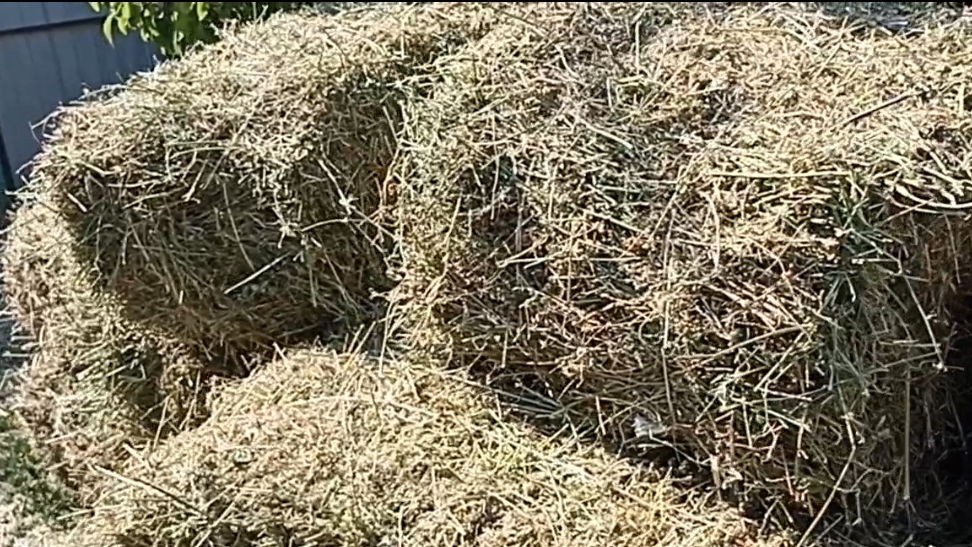 Уставшая, но счастливая🤗