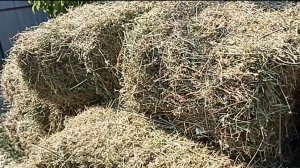 Уставшая, но счастливая🤗
