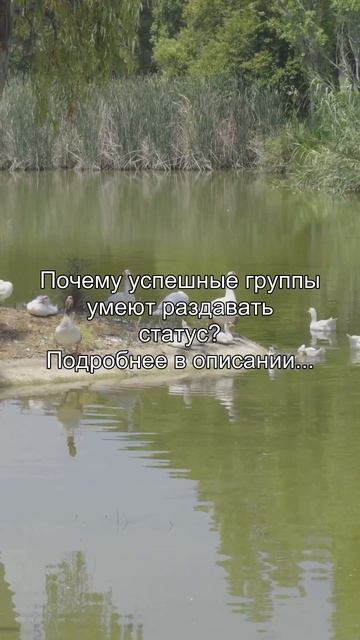 Почему успешные группы
умеют раздавать
статус?
Подробнее в описании...
