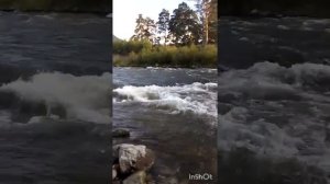 Путь с Алтая. ☺😊👍👍👌
