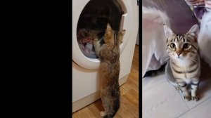 Реакция на клип Буси(у нас имена похожи?)! Мусойла