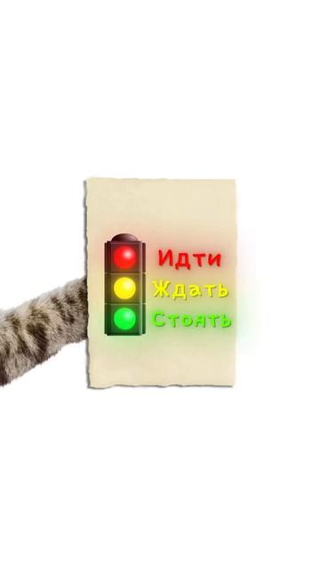 КАК ЖИВУТ ДАЛЬТОНИКИ? Кисы объясняют 🤓 ☝️