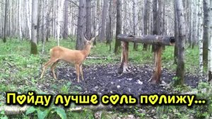 Как то раз