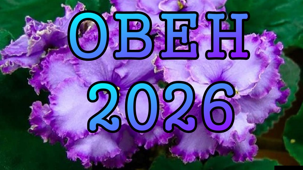 ОВЕН таро прогноз на 2026 ГОД.