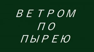 Сергей Знаменский - ВЕТРОМ ПО ПЫРЕЮ «клип»