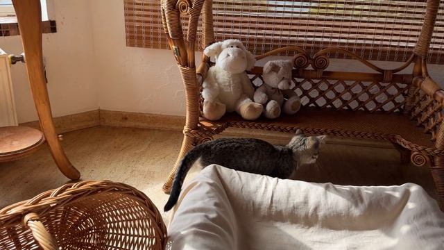 Тренировка по футболу 21-08-2026