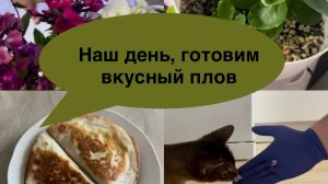 Наш уютный денек: секрет плова от мужа, дачные овощи и школьные хлопоты учителя
