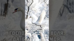 ПАВЕЛ. СВИДЕТЕЛЬСТВО. АМИНЬ. АМИНЬ. АМИНЬ.