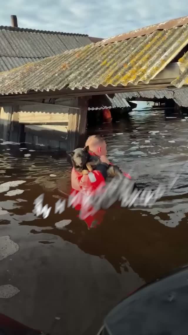 Сила — в единстве!