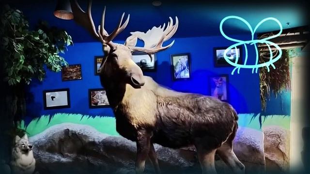 Ледниковый ритм Земли. Оригинальная версия песни