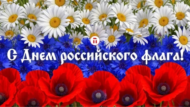 Белый Синий Красный Гордимся флагом России Праздничное музыкальное поздравление ко дню Флага России