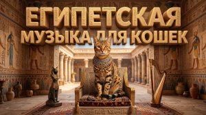 ЕГИПЕТСКАЯ МУЗЫКА ДЛЯ КОШЕК | ПОДБОРКА | 2