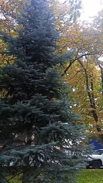 Краснодар ул. Красная 🤗👀😊 #влог #прогулка