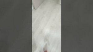 1000015950.mp4