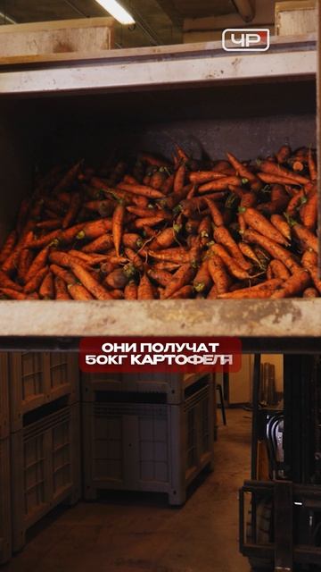 Чита за 60 секунд: Поезд Победы, овощи для пострадавших и суд над экс-главой МинЖКХ