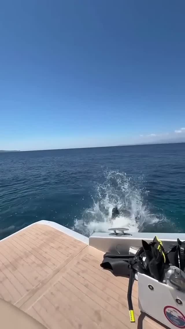 Одна за другой в море