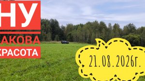 Ну не за ними ехали. Красота страшная сила 😂