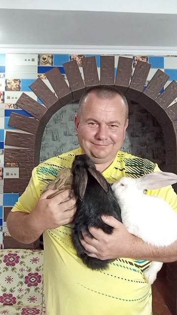 кролики