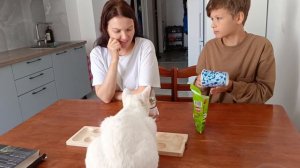 игра не удалась, ничья