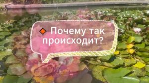 Опасный 17 - 20 серии (2025) Пятый канал ｜ Премьера ｜ обзор. Дата выхода